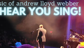 The back of a singer on stage looking out at the audience.