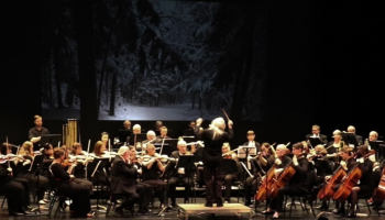 Fredericton Symphony Orchestra onstage.