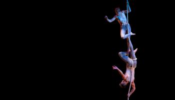 Two acrobats dangle from a rope.