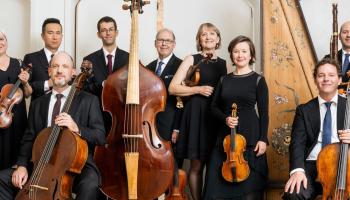 A large amount of suited musicians hold stringed instruments. 