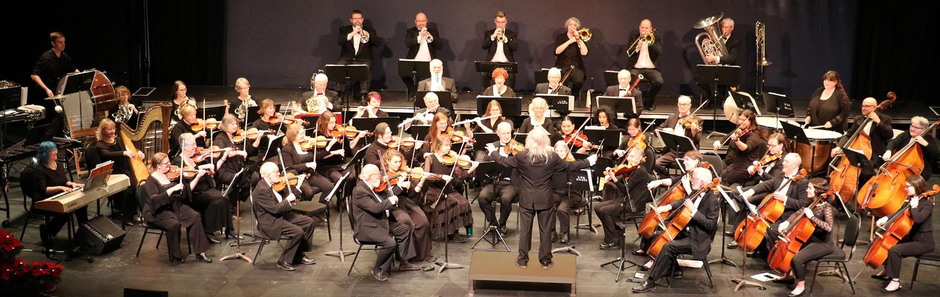 An image of the Fredericton Symphony Orchestra set up on stage.